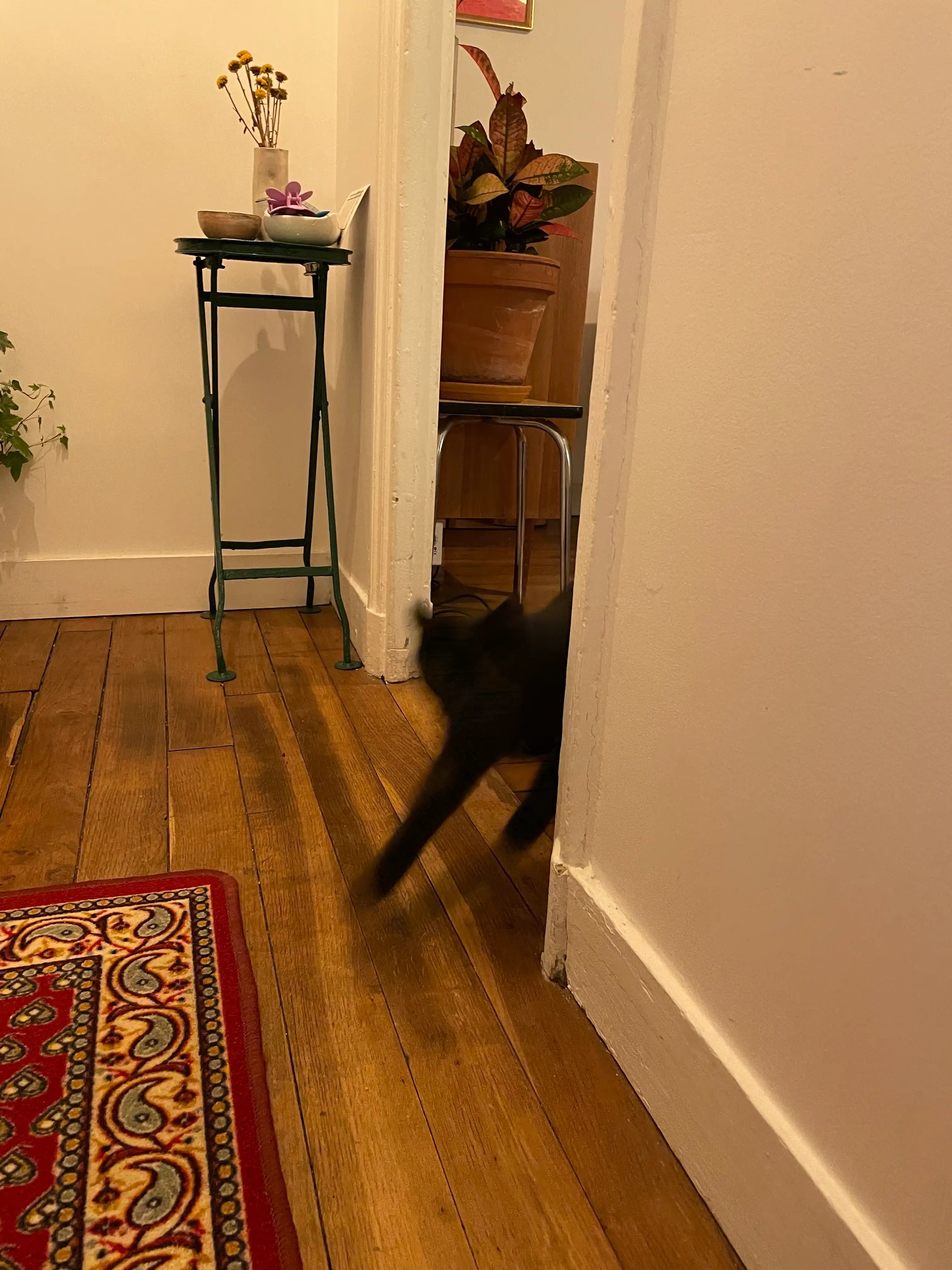 image-12