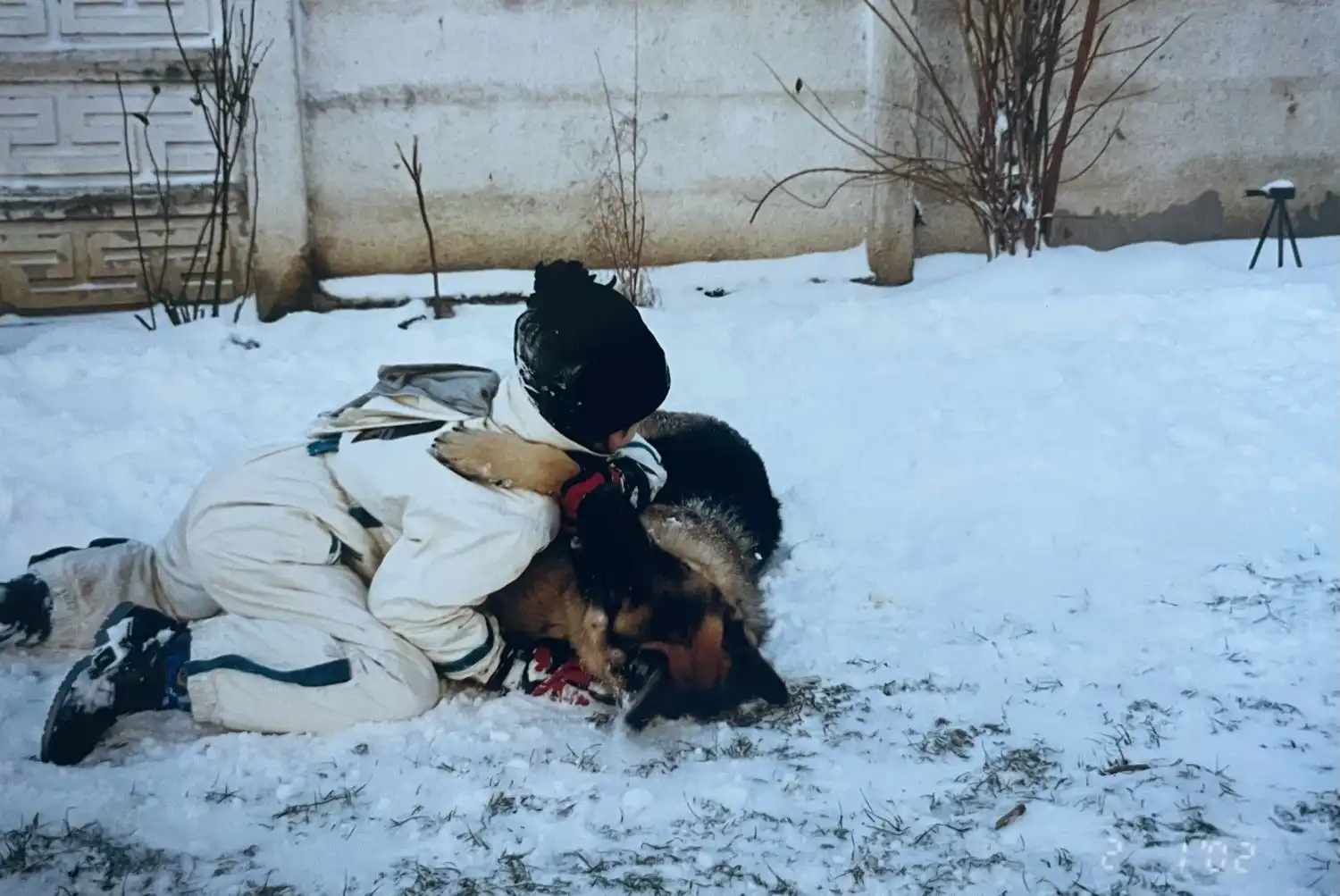 image-12