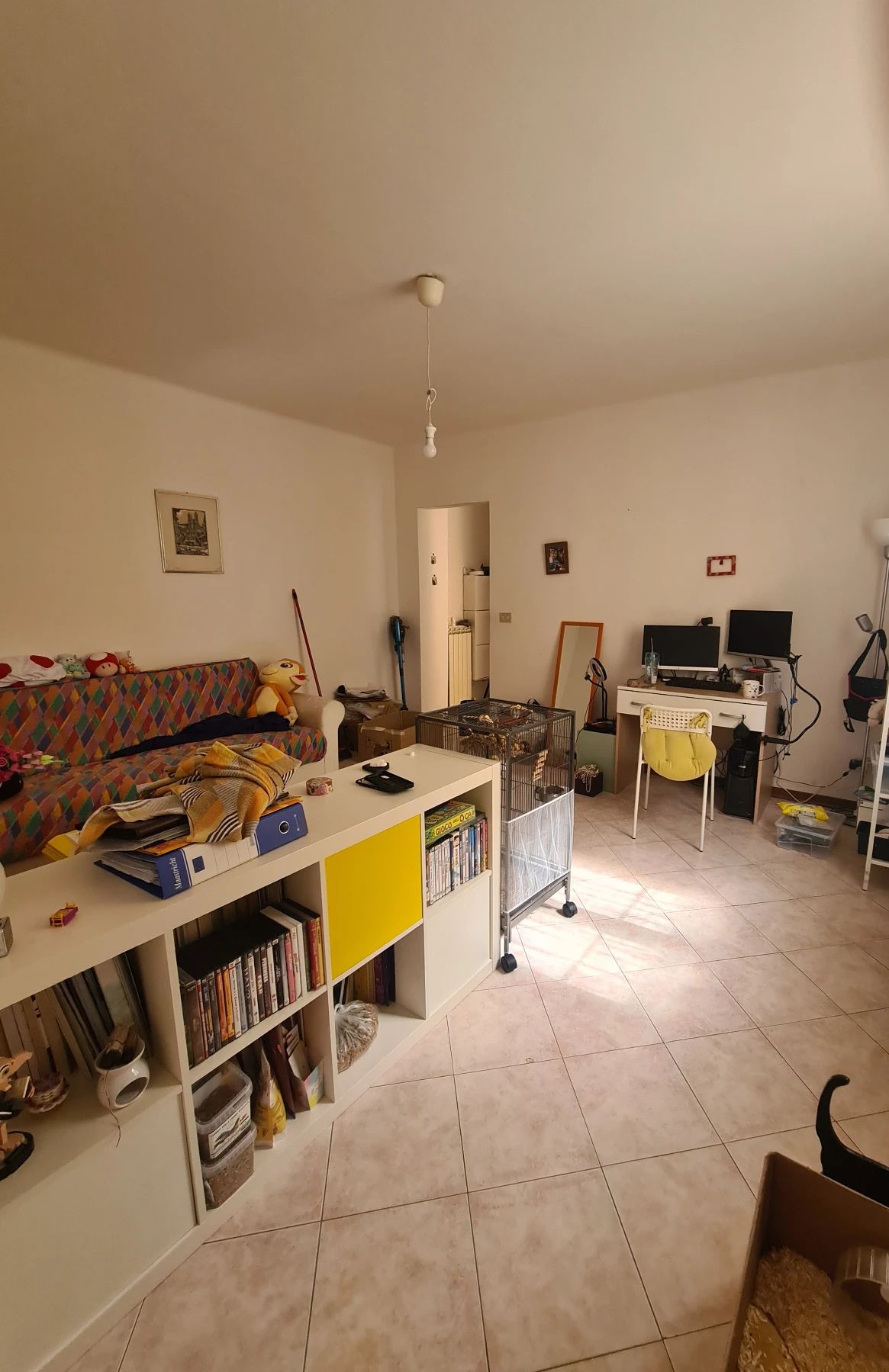 image-6