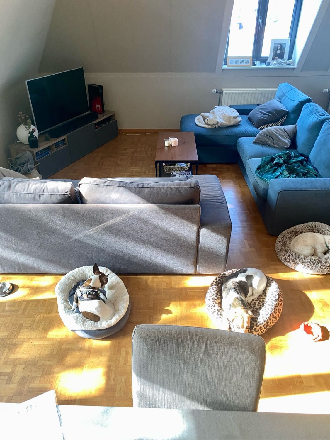 image-9