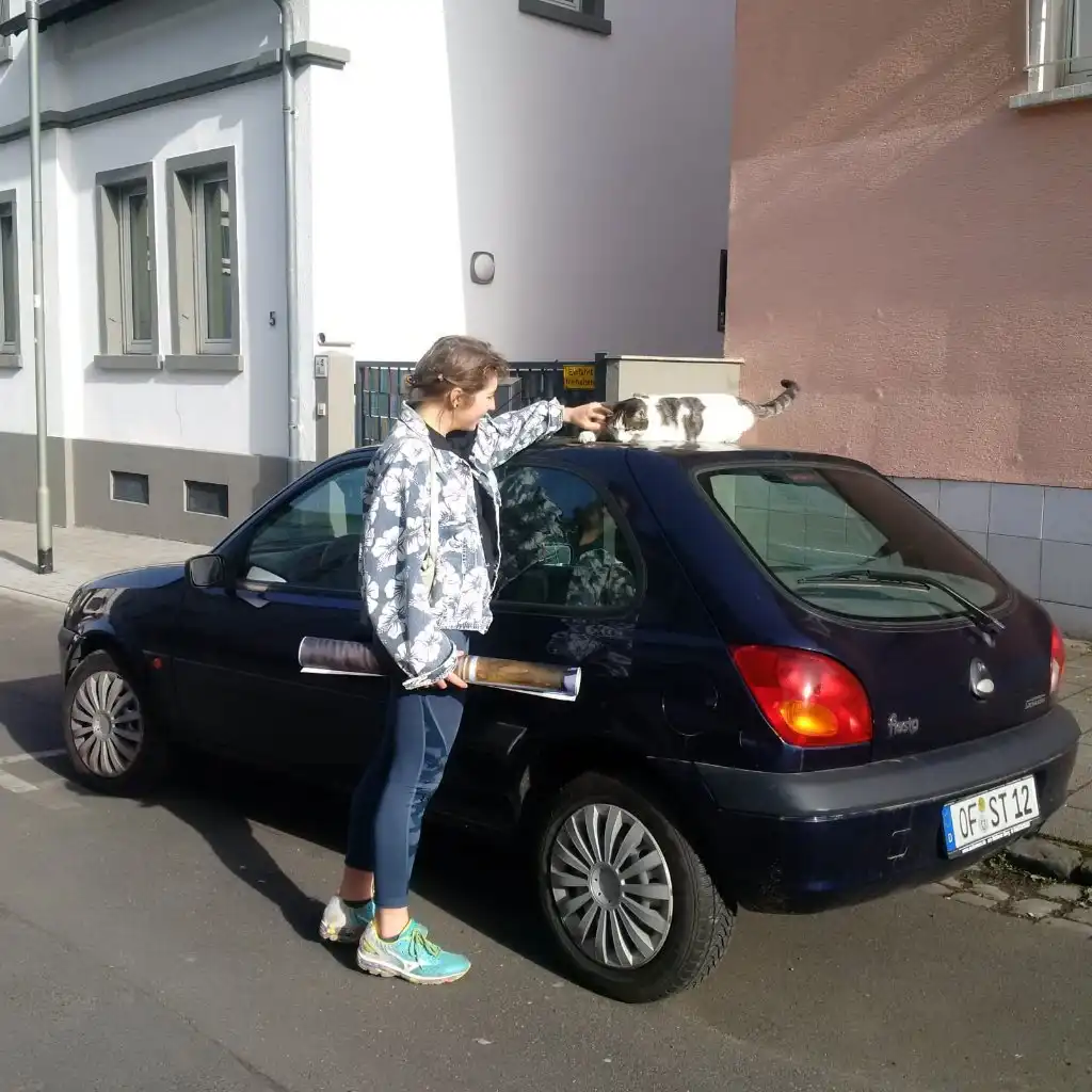 image-5