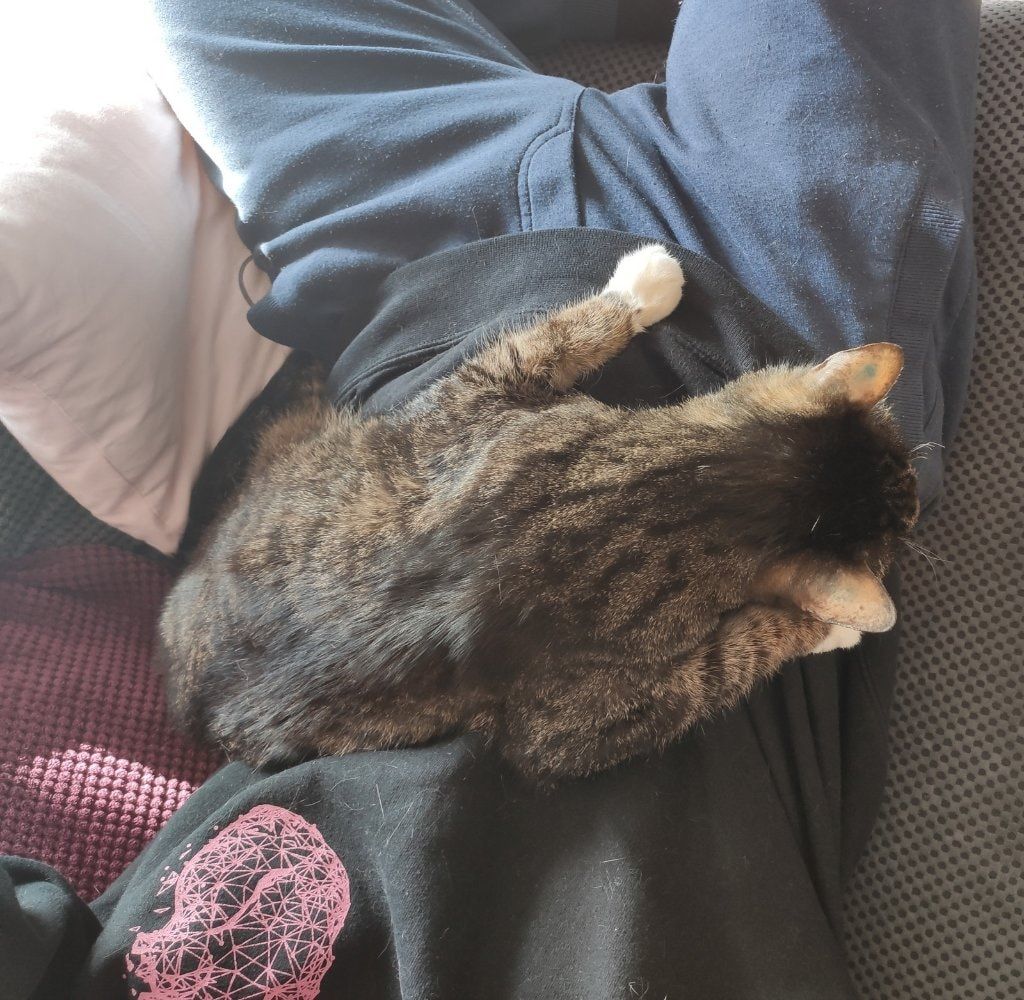 image-8