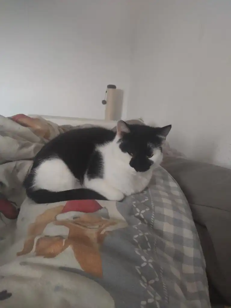 image-6