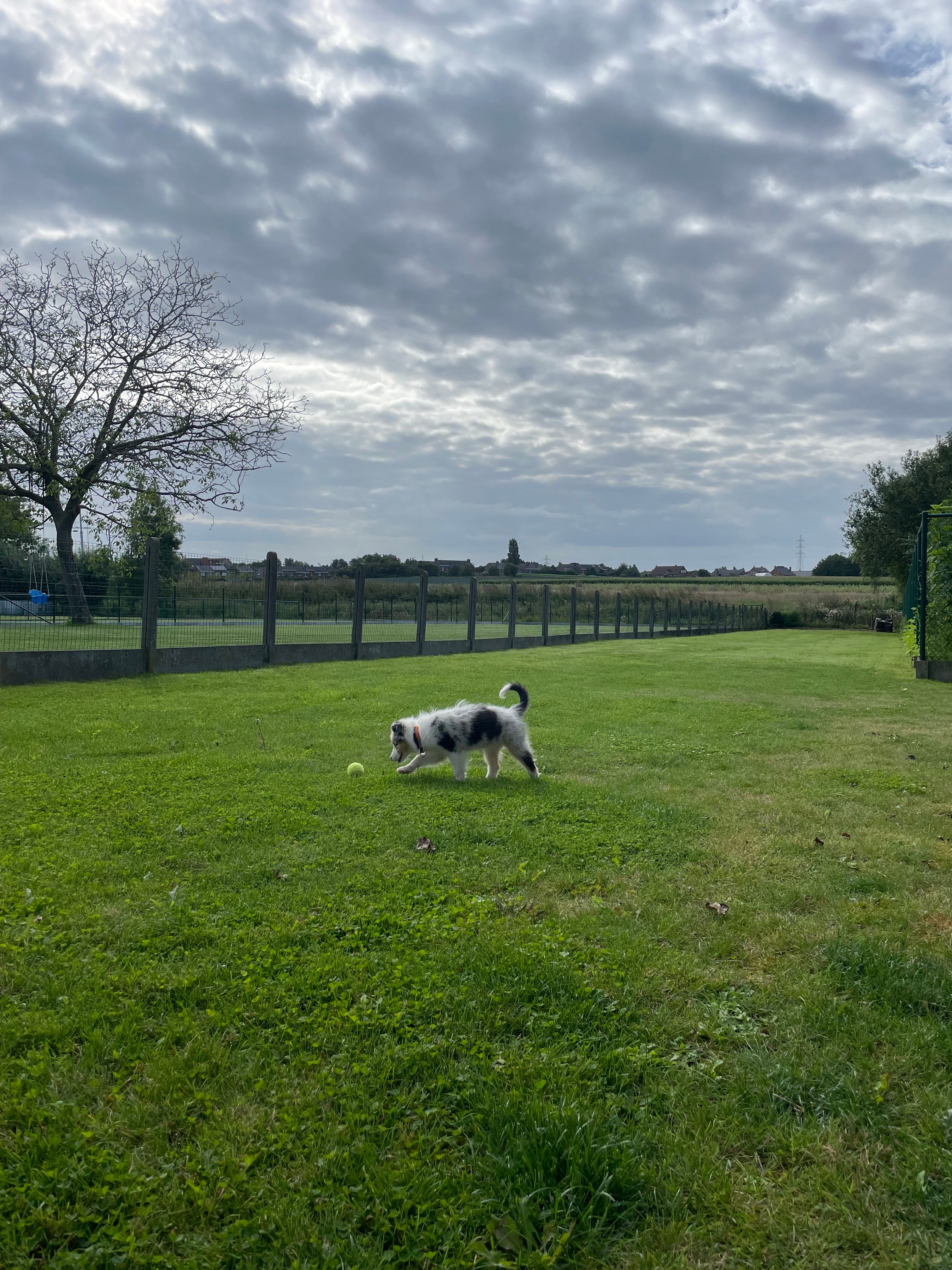 image-10