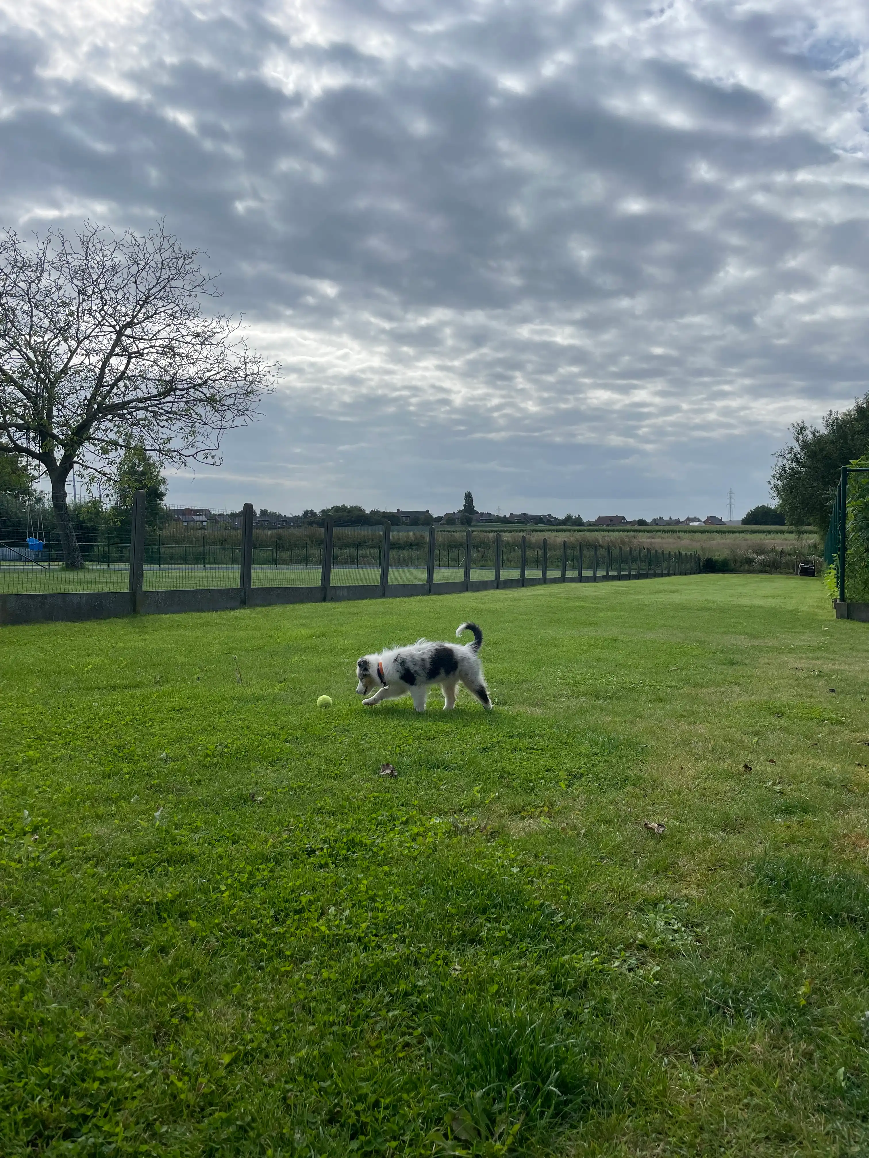 image-10