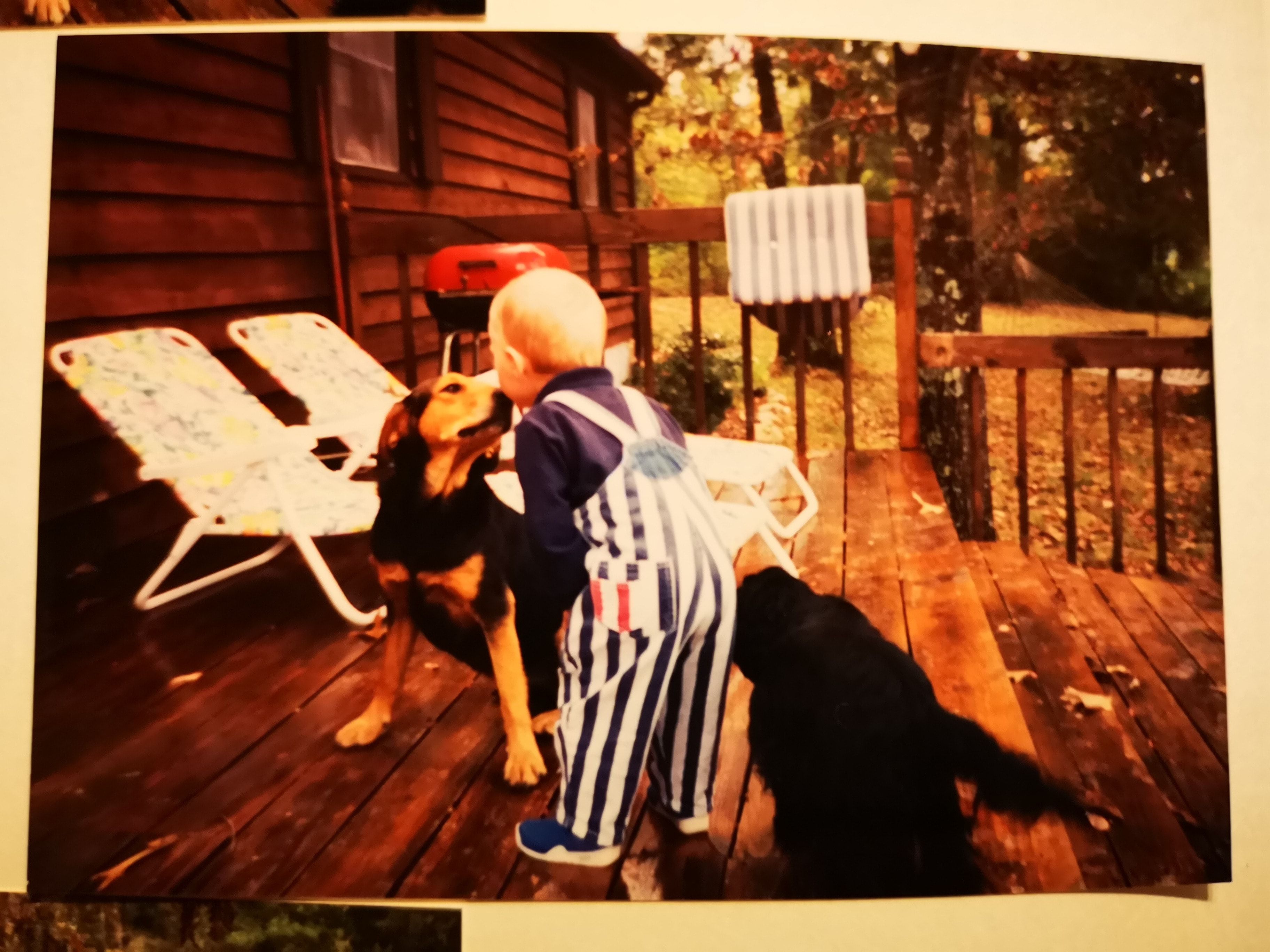 image-8