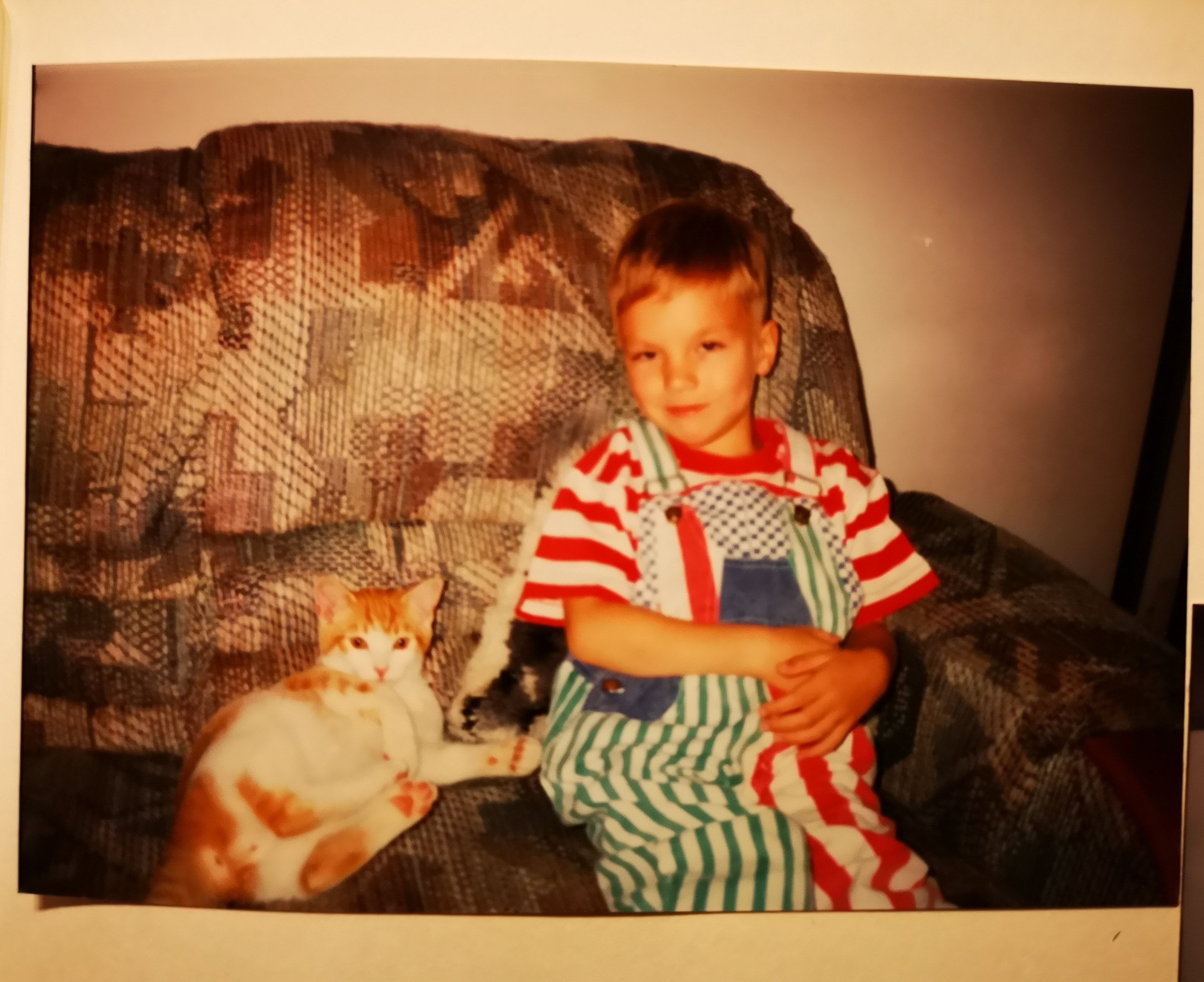 image-7