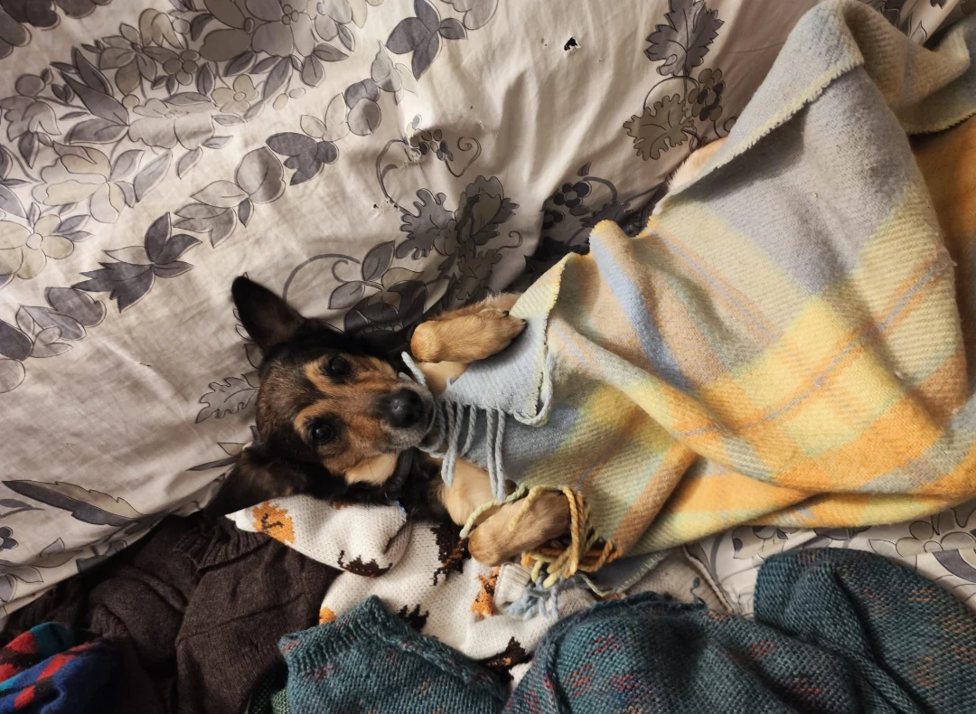 image-6