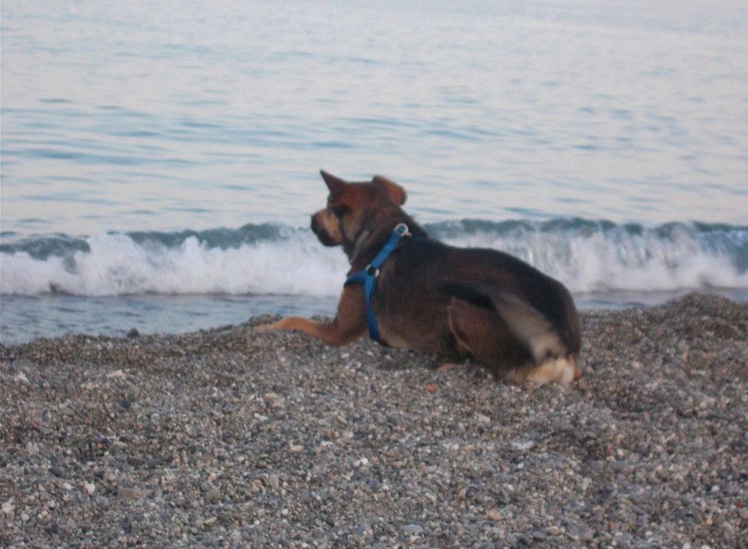 image-10