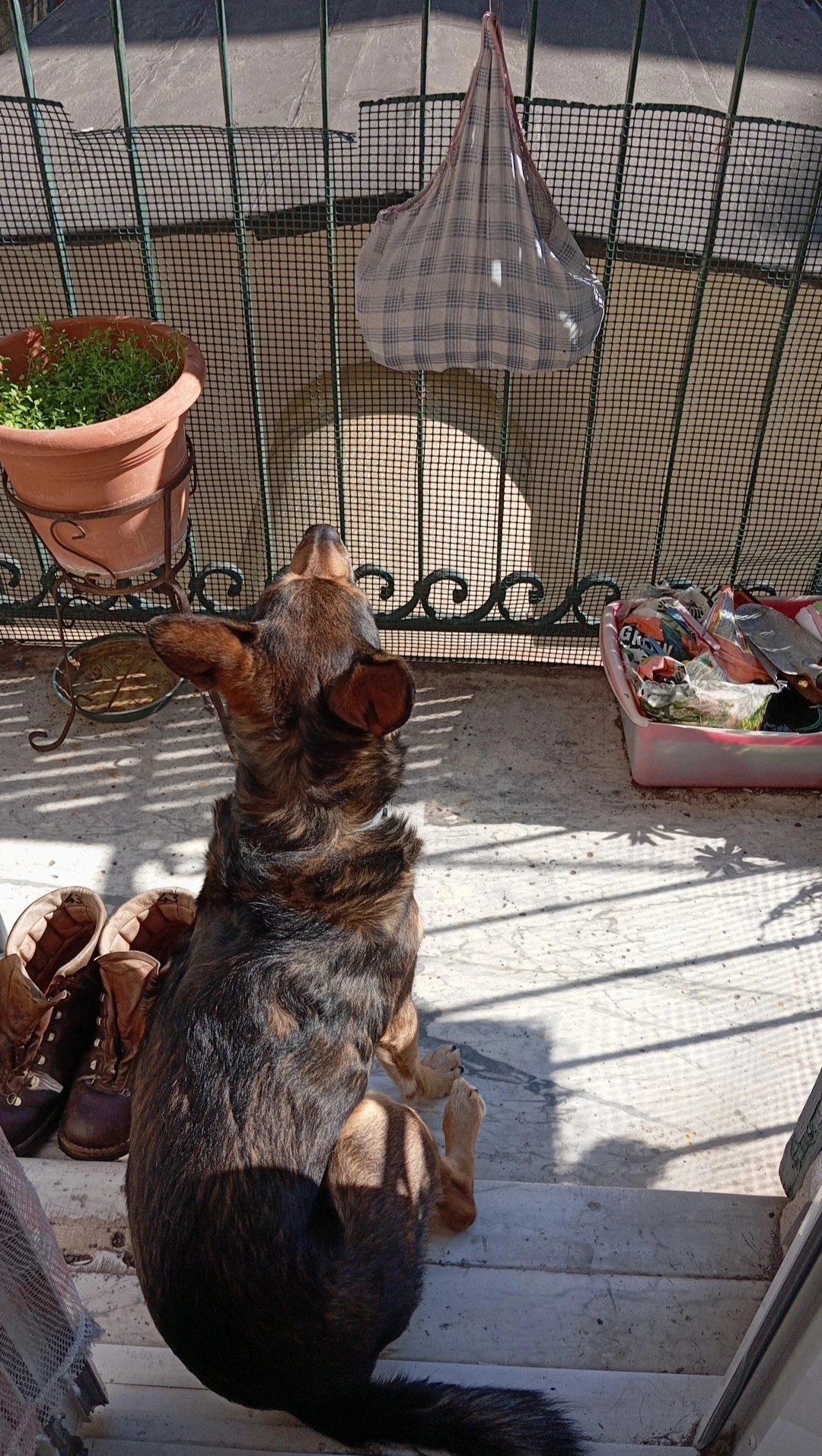 image-7