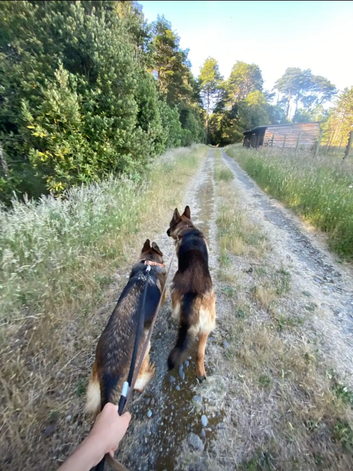 image-5