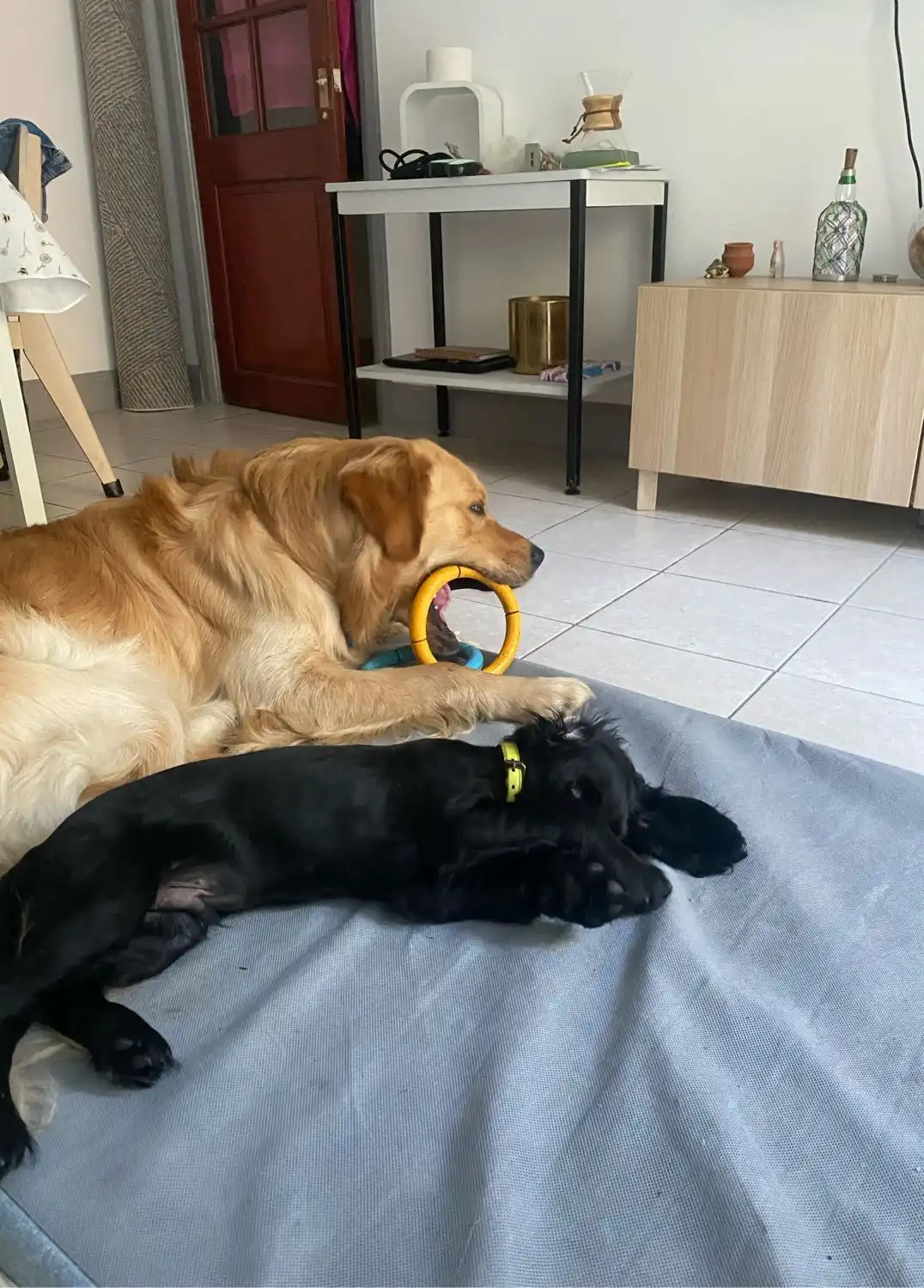 image-23