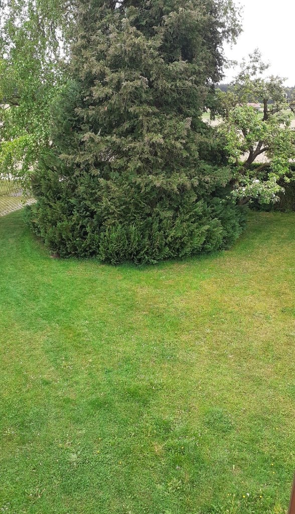 image-19