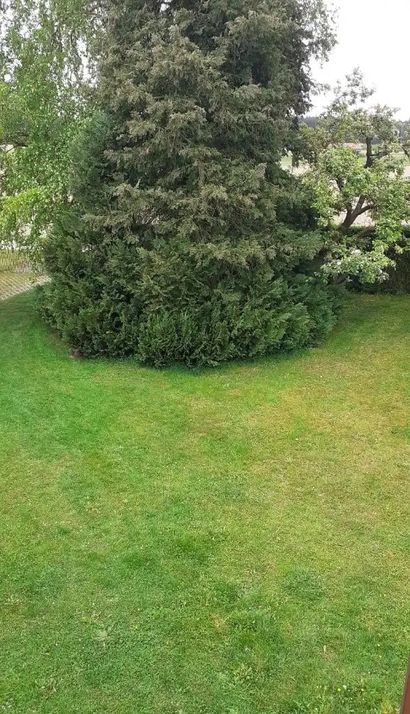 image-19
