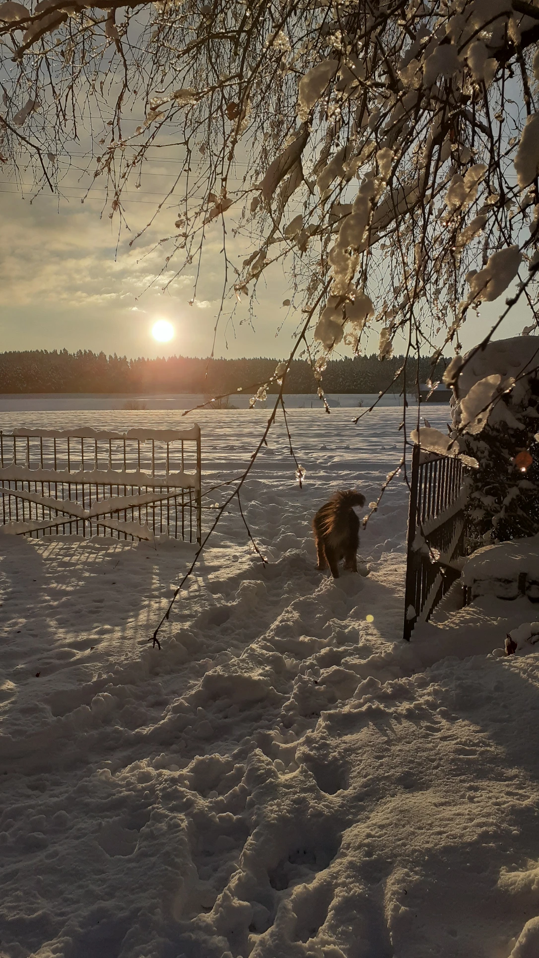 image-12