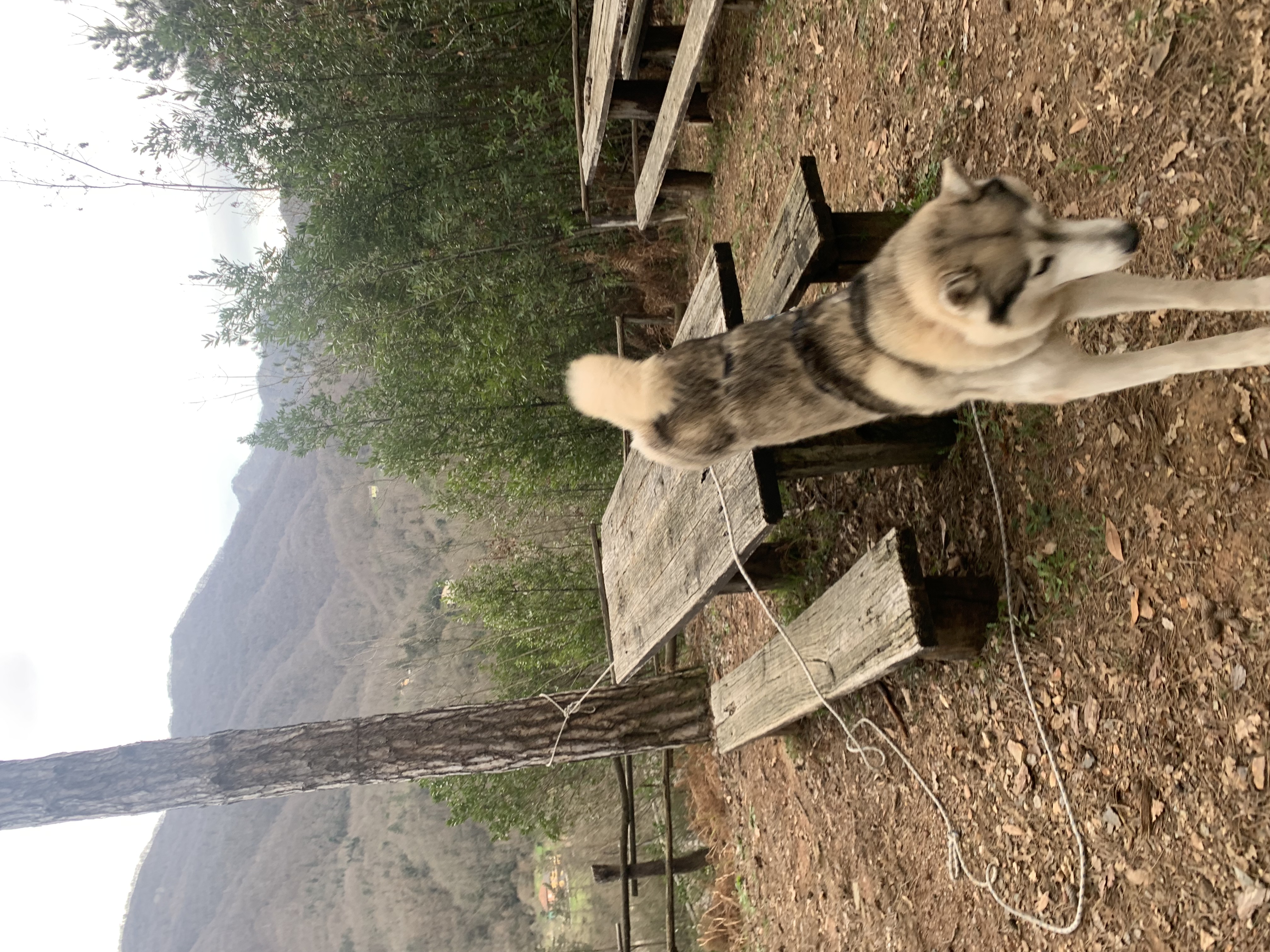 image-5