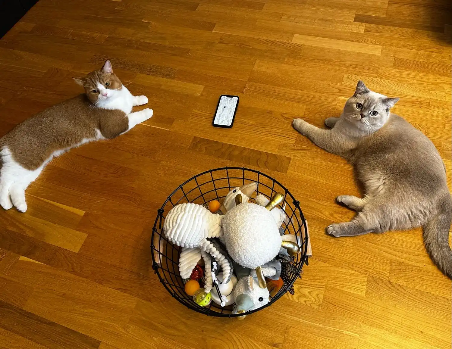 image-8