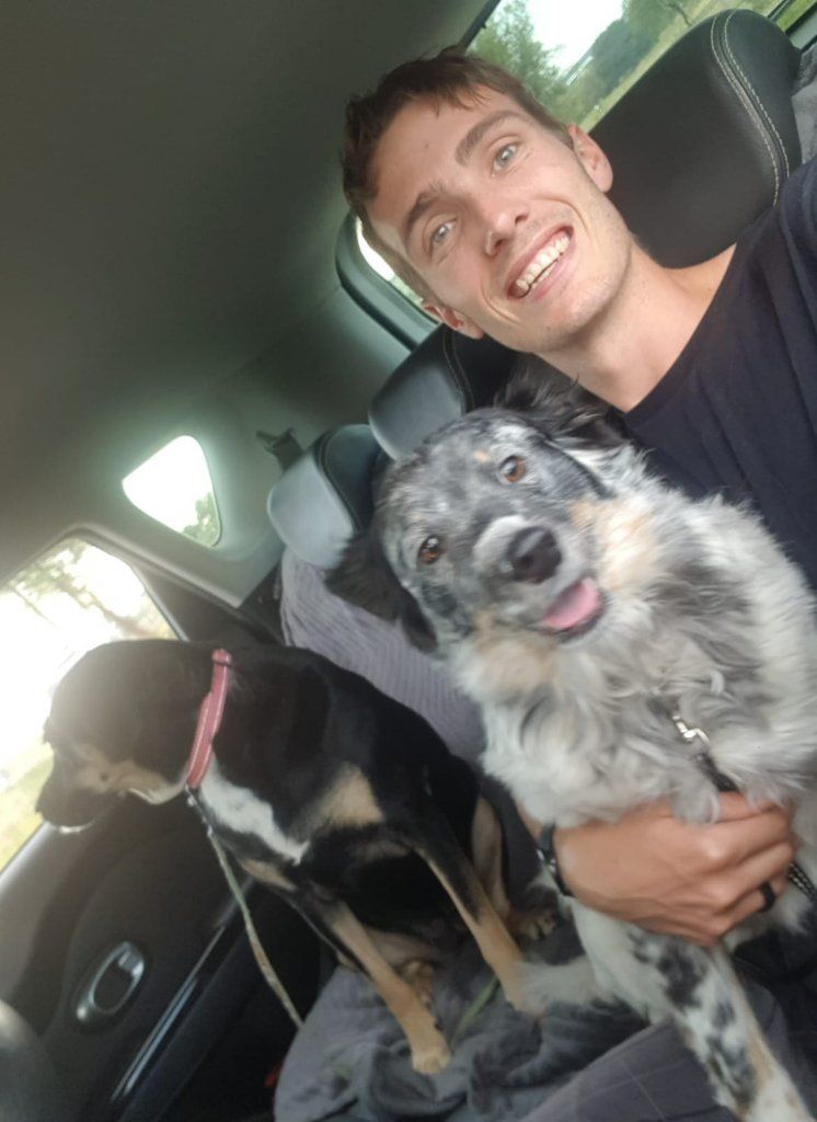 image-8