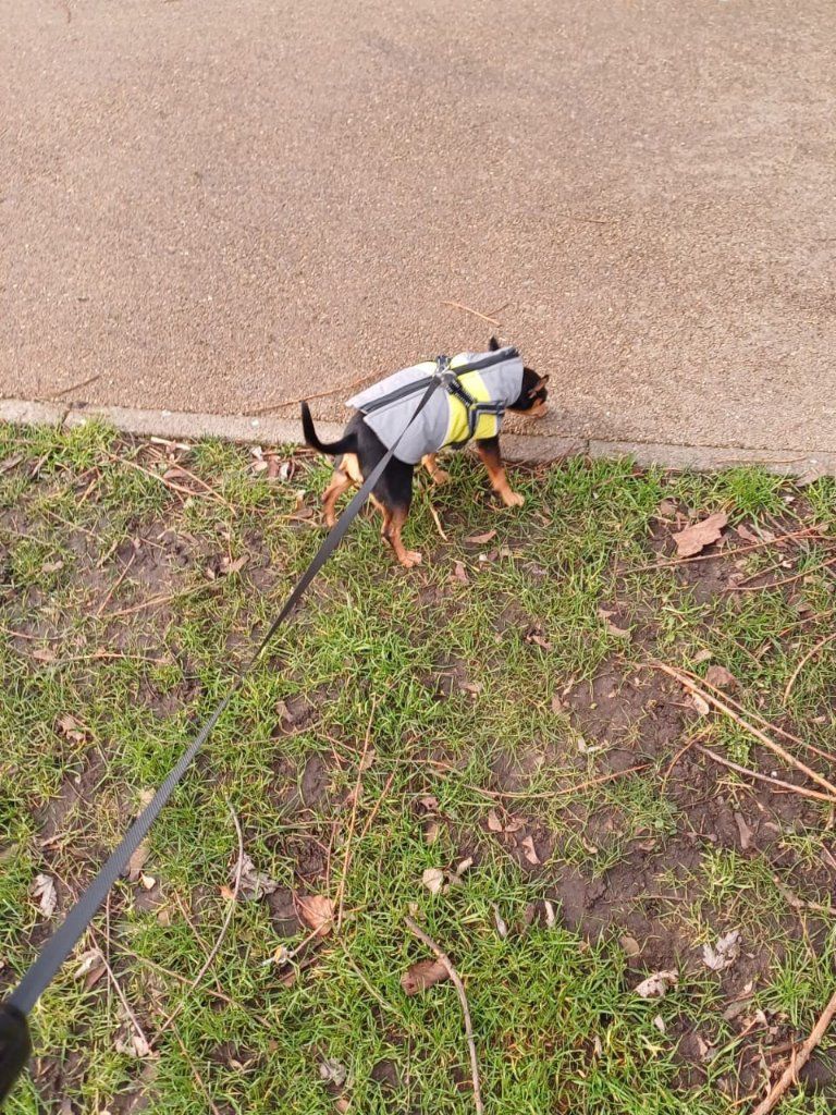 image-10