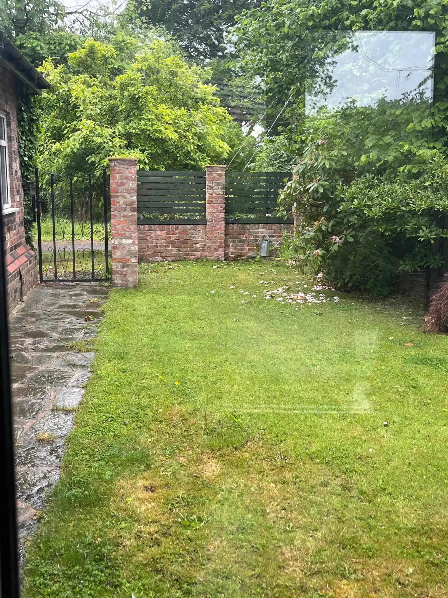 image-20