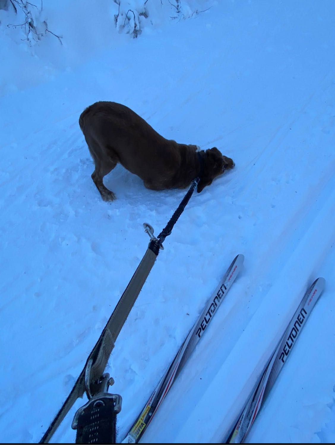 image-5