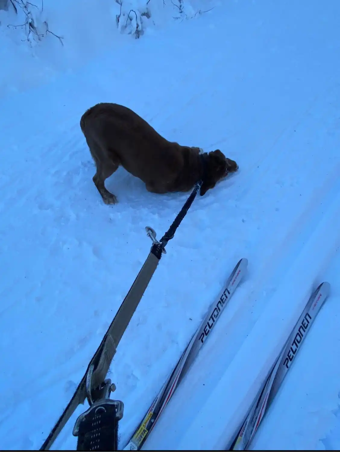 image-5