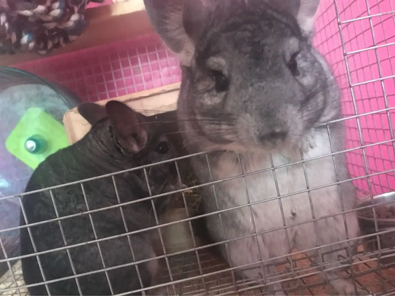 image-43