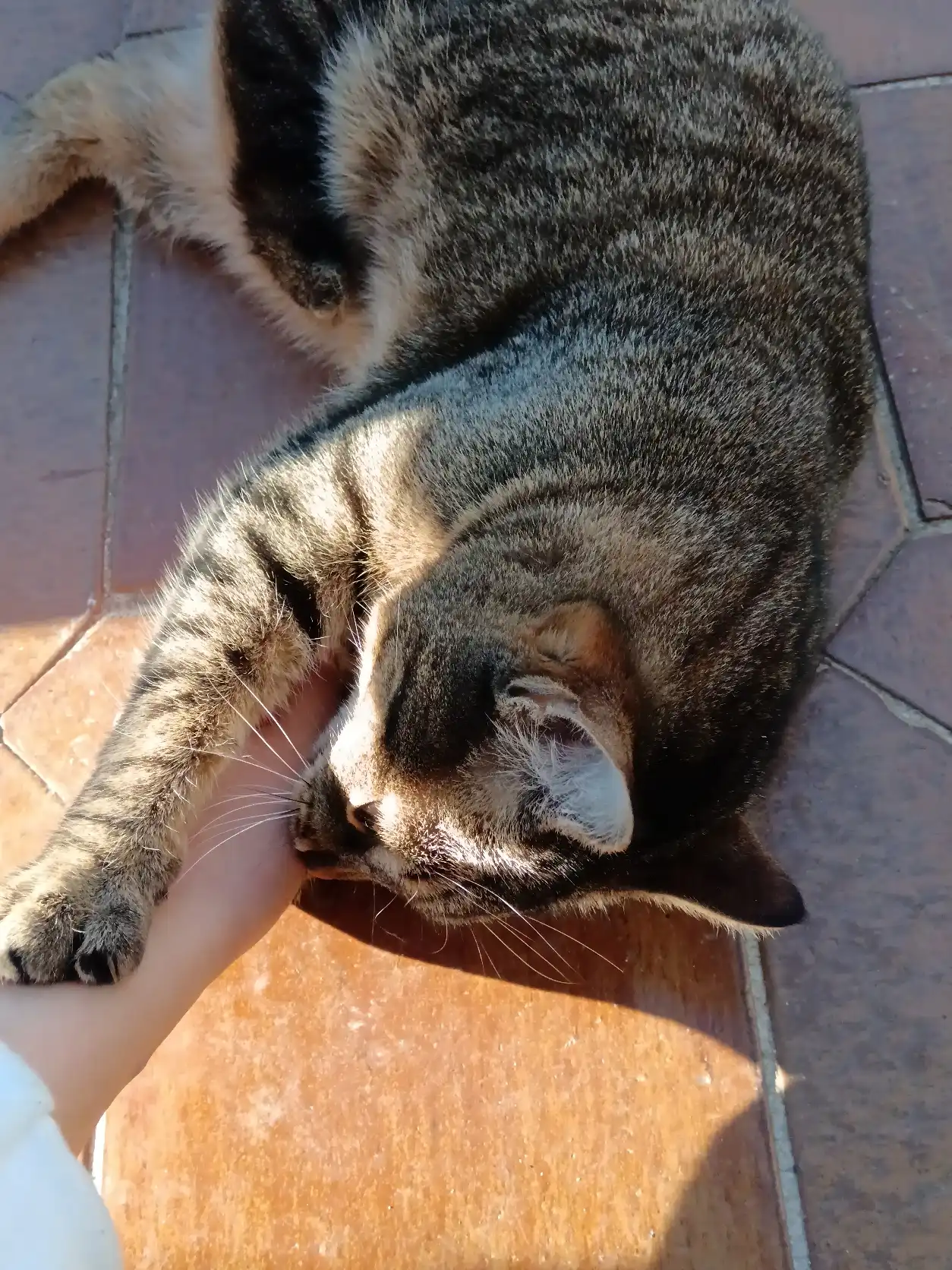 image-6