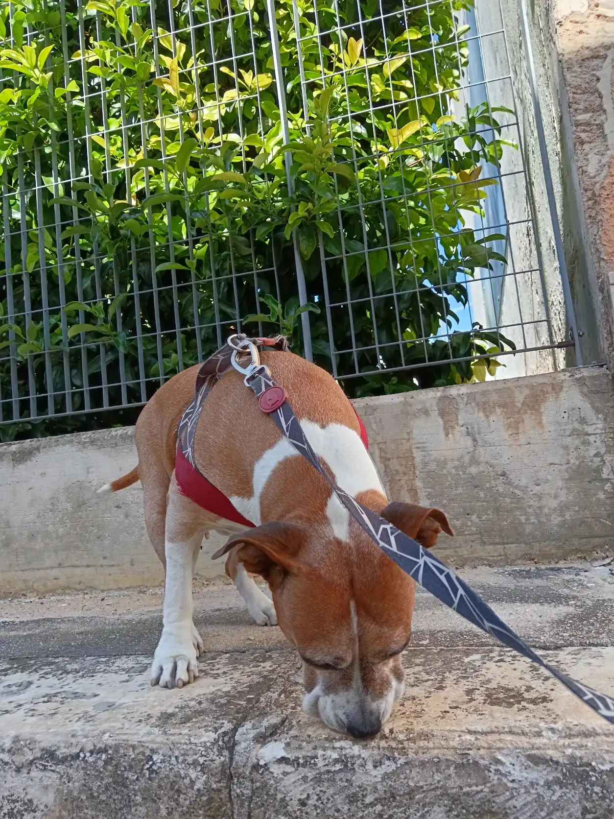 image-10