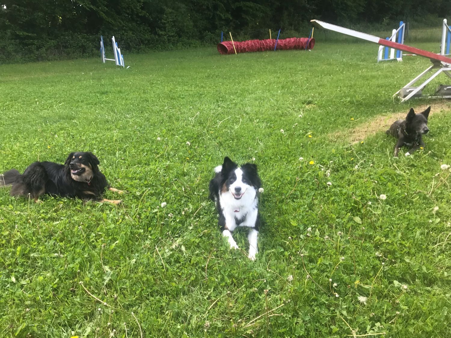 image-7