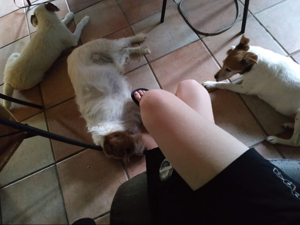 image-17