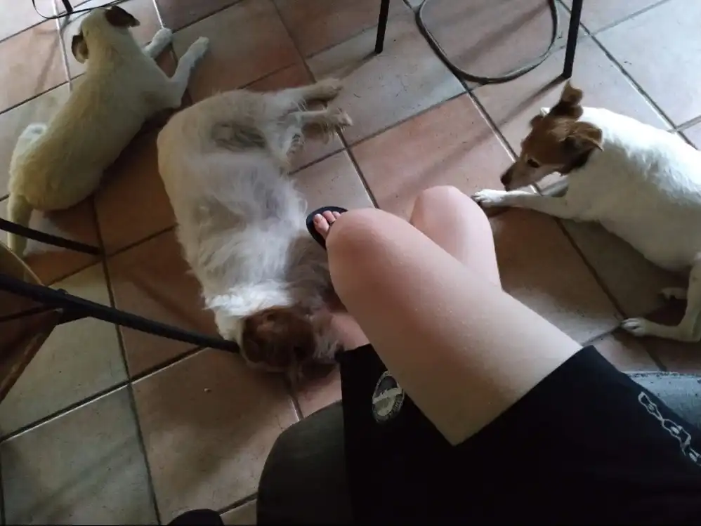 image-17