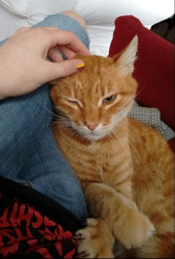 image-7