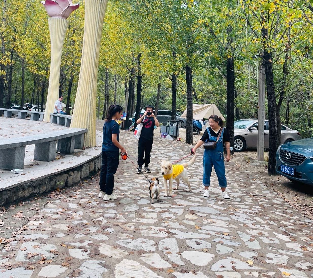 image-4