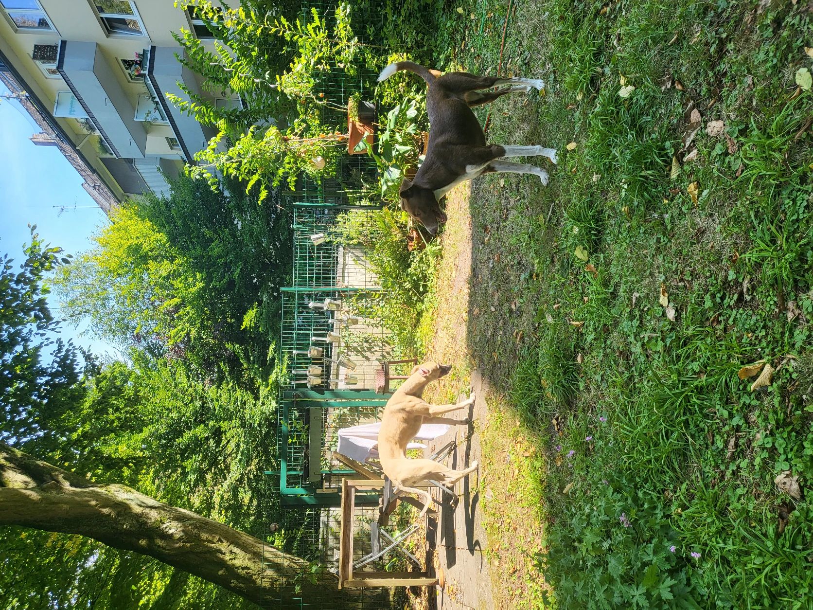 image-14