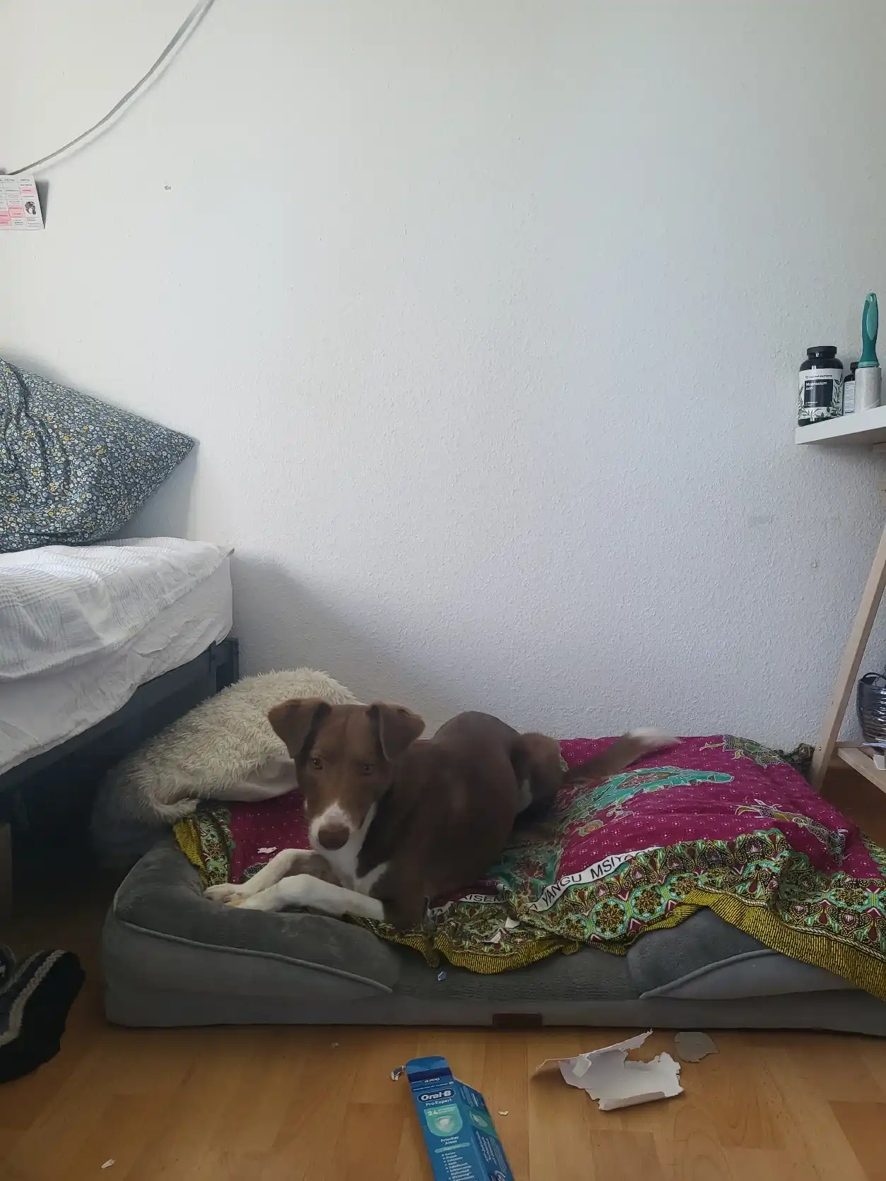 image-10
