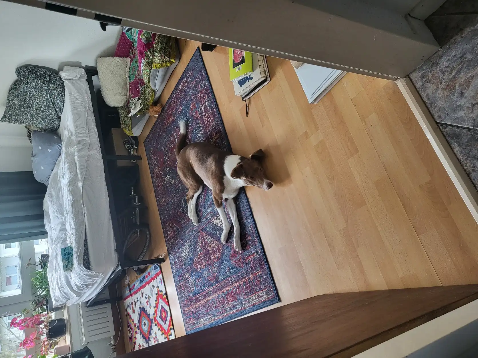 image-12