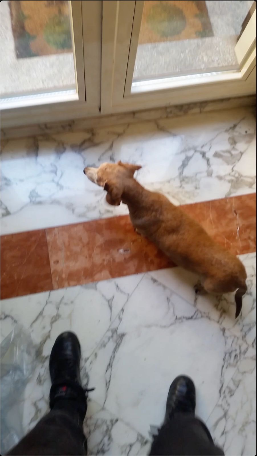 image-6