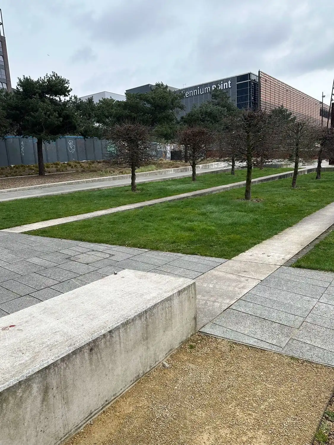 image-6