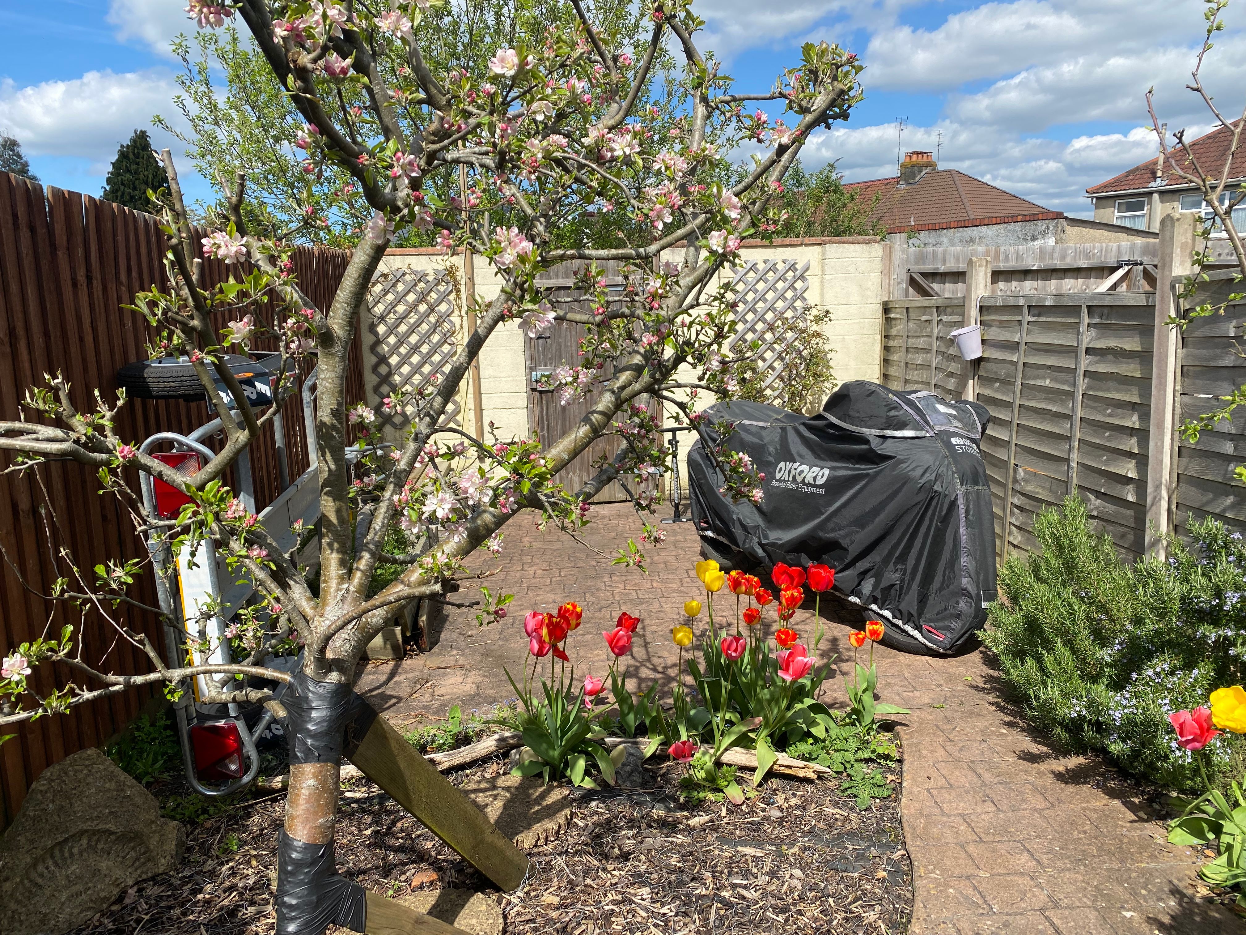 image-5