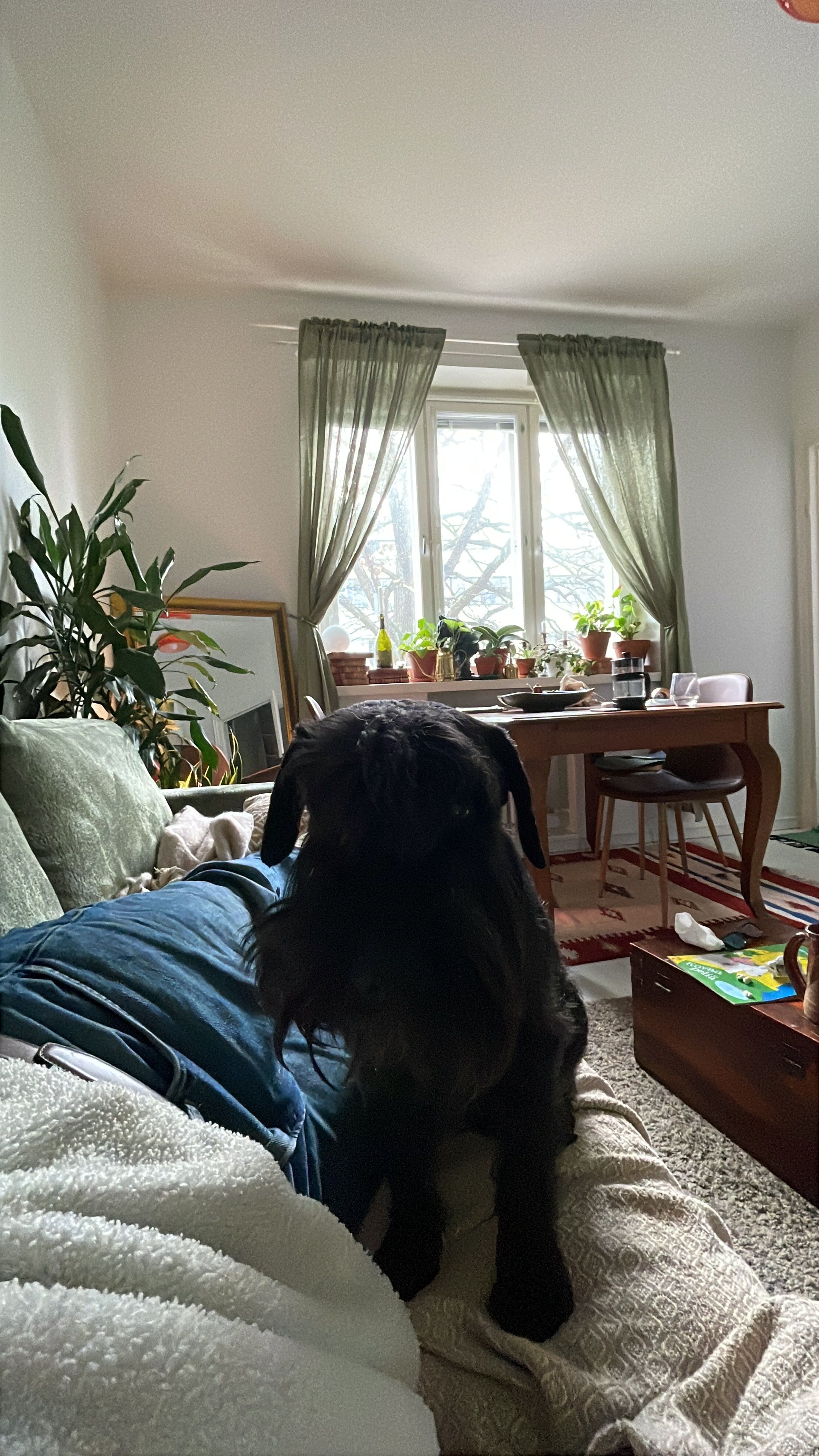 image-7
