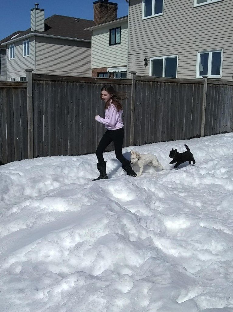 image-4