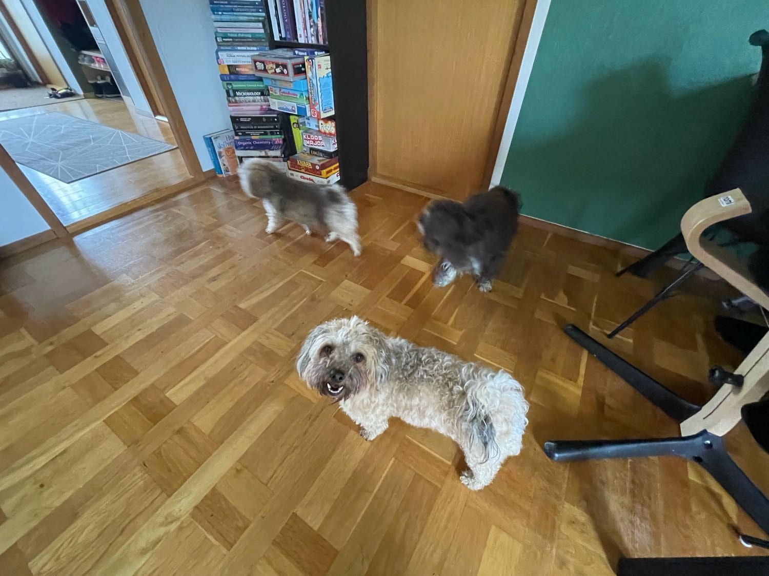 image-3