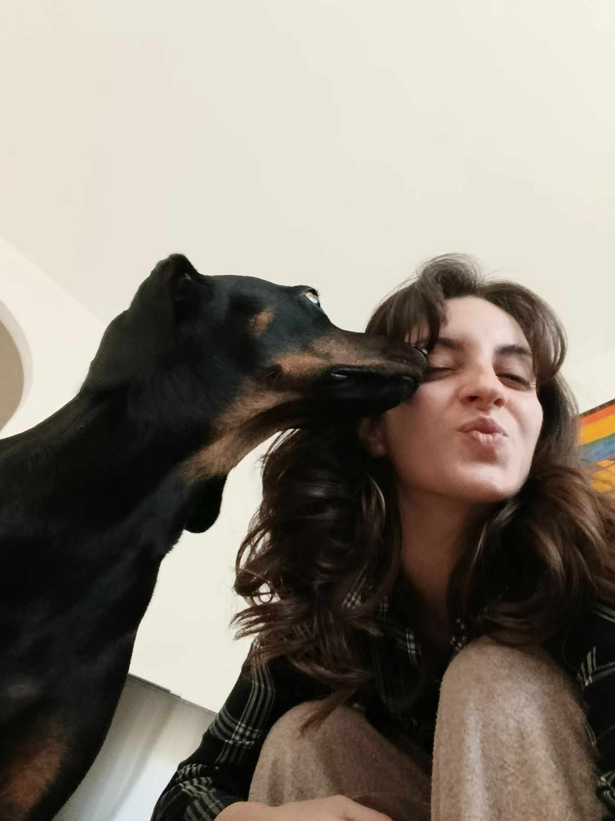 image-8