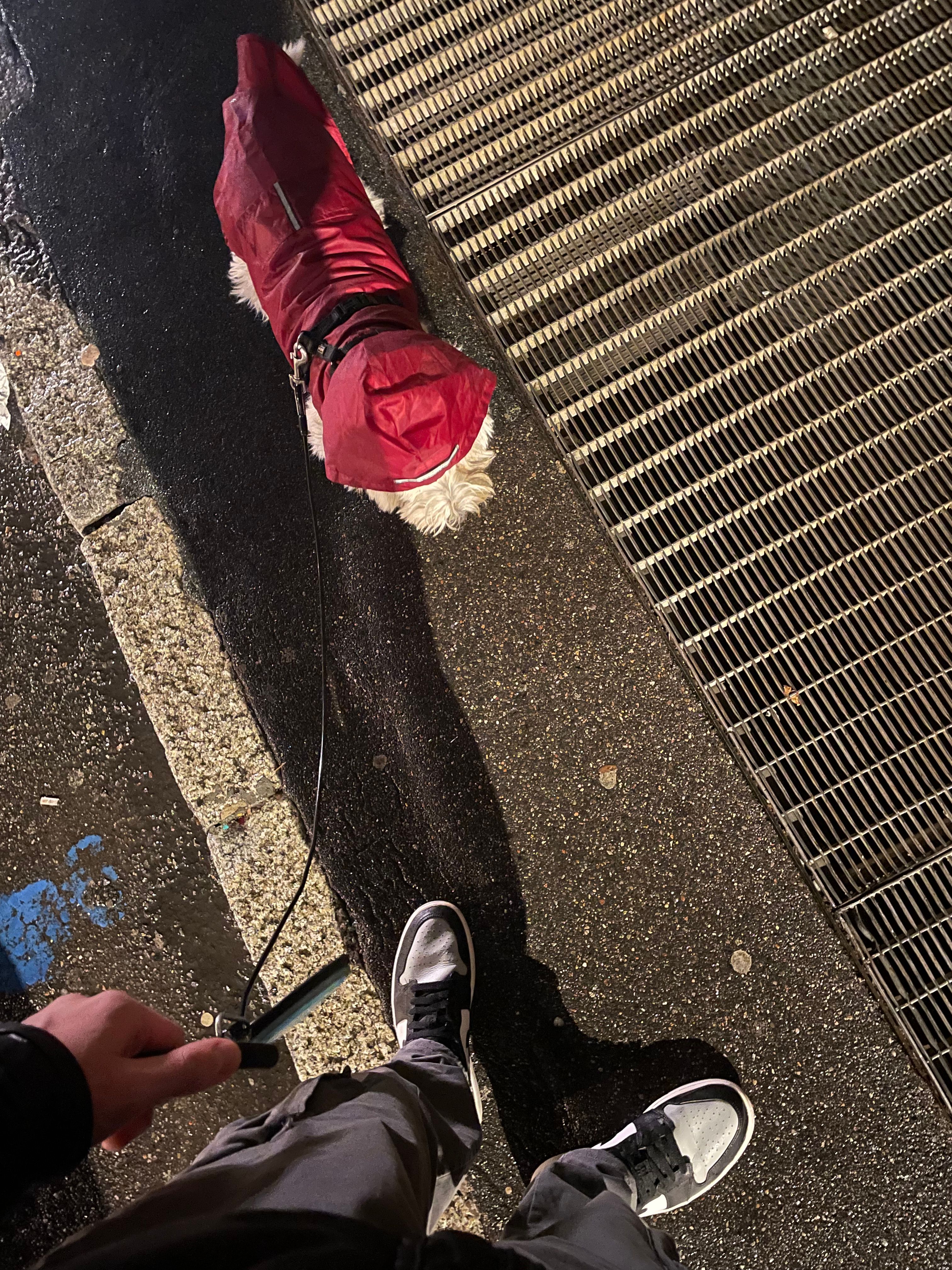 image-9
