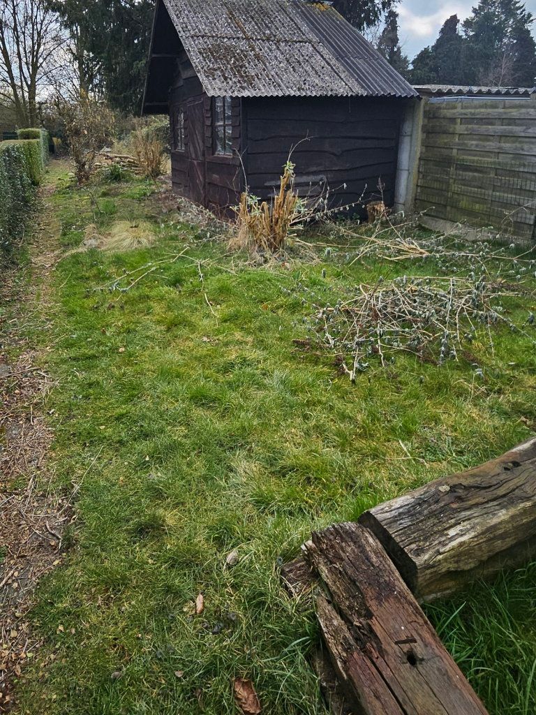 image-20