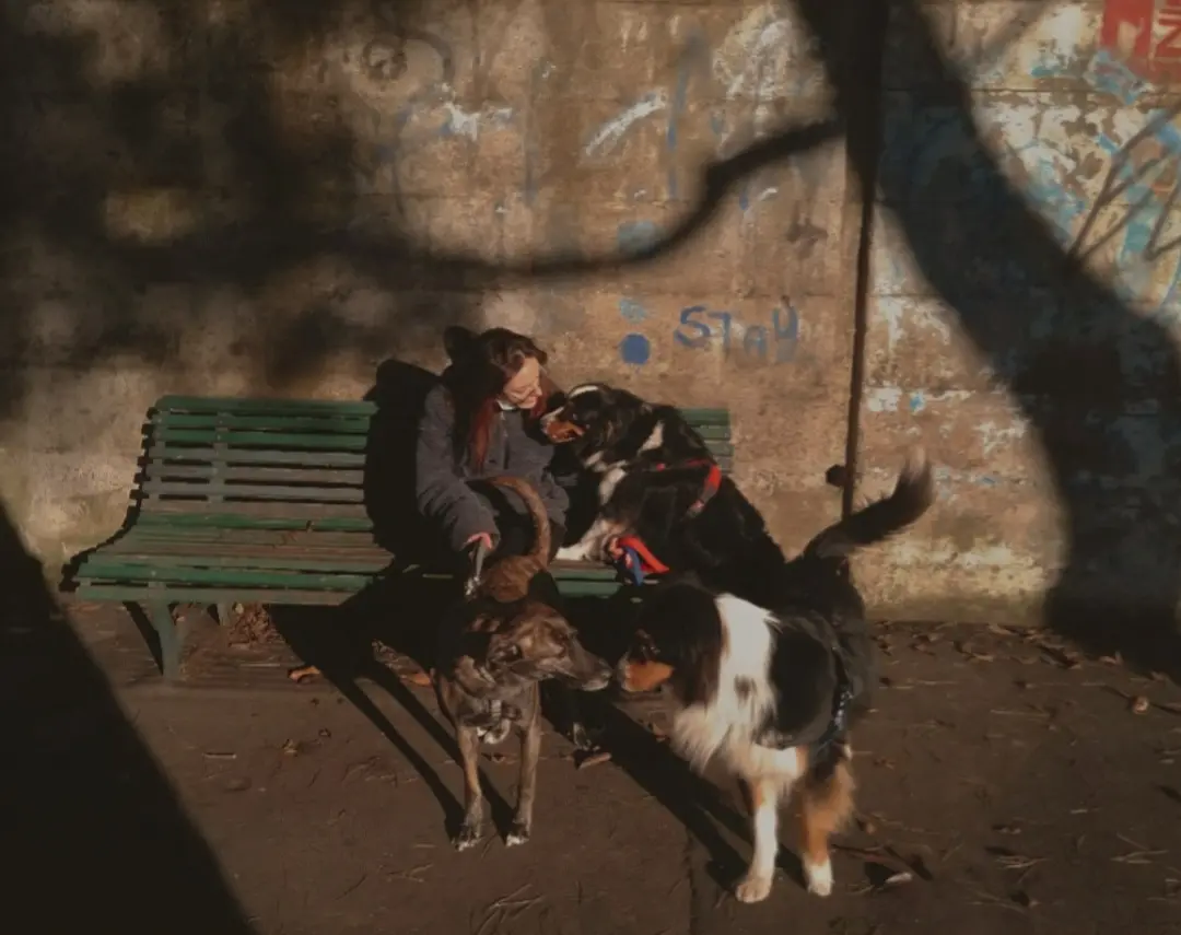 image-2