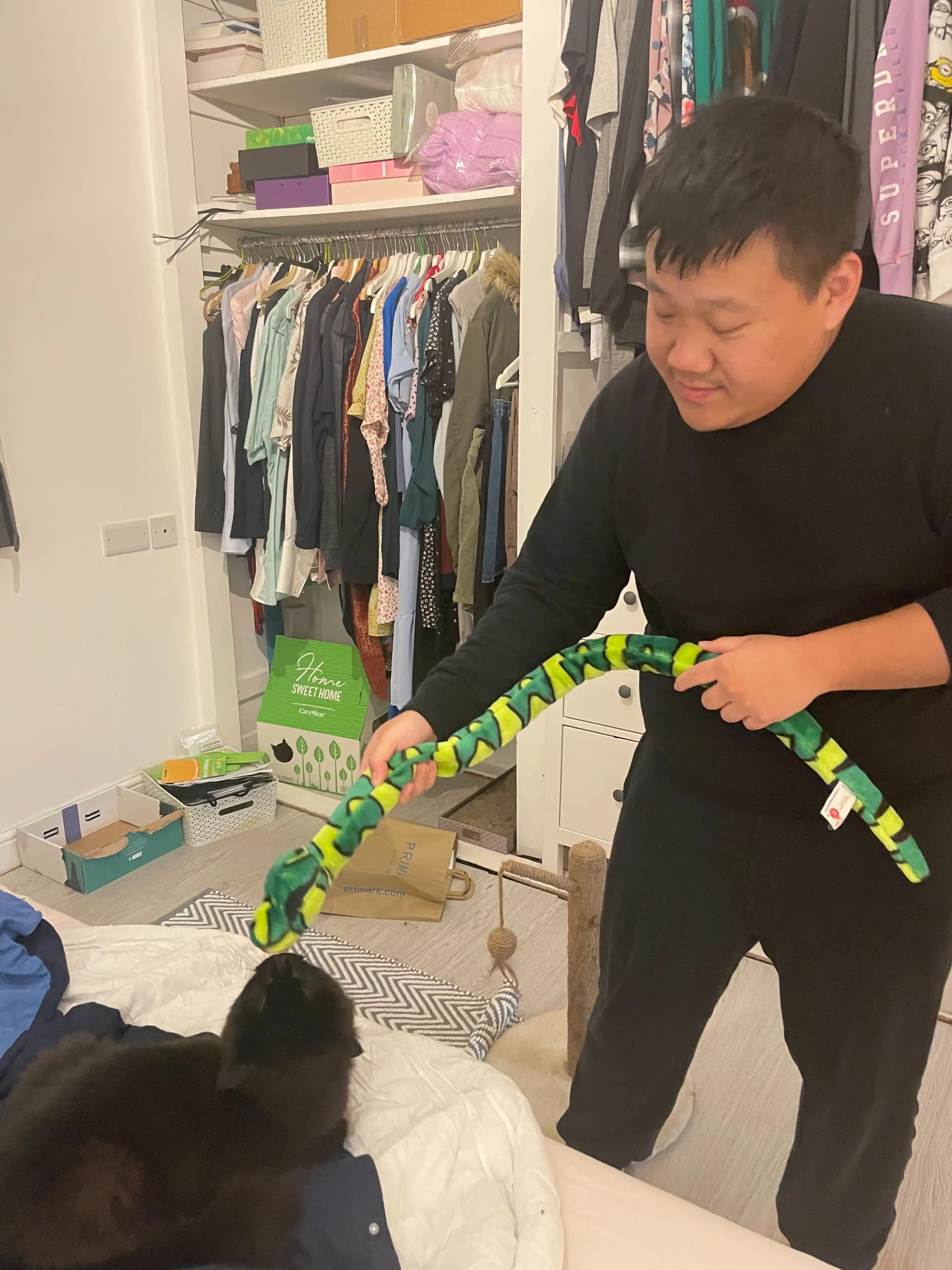 image-6