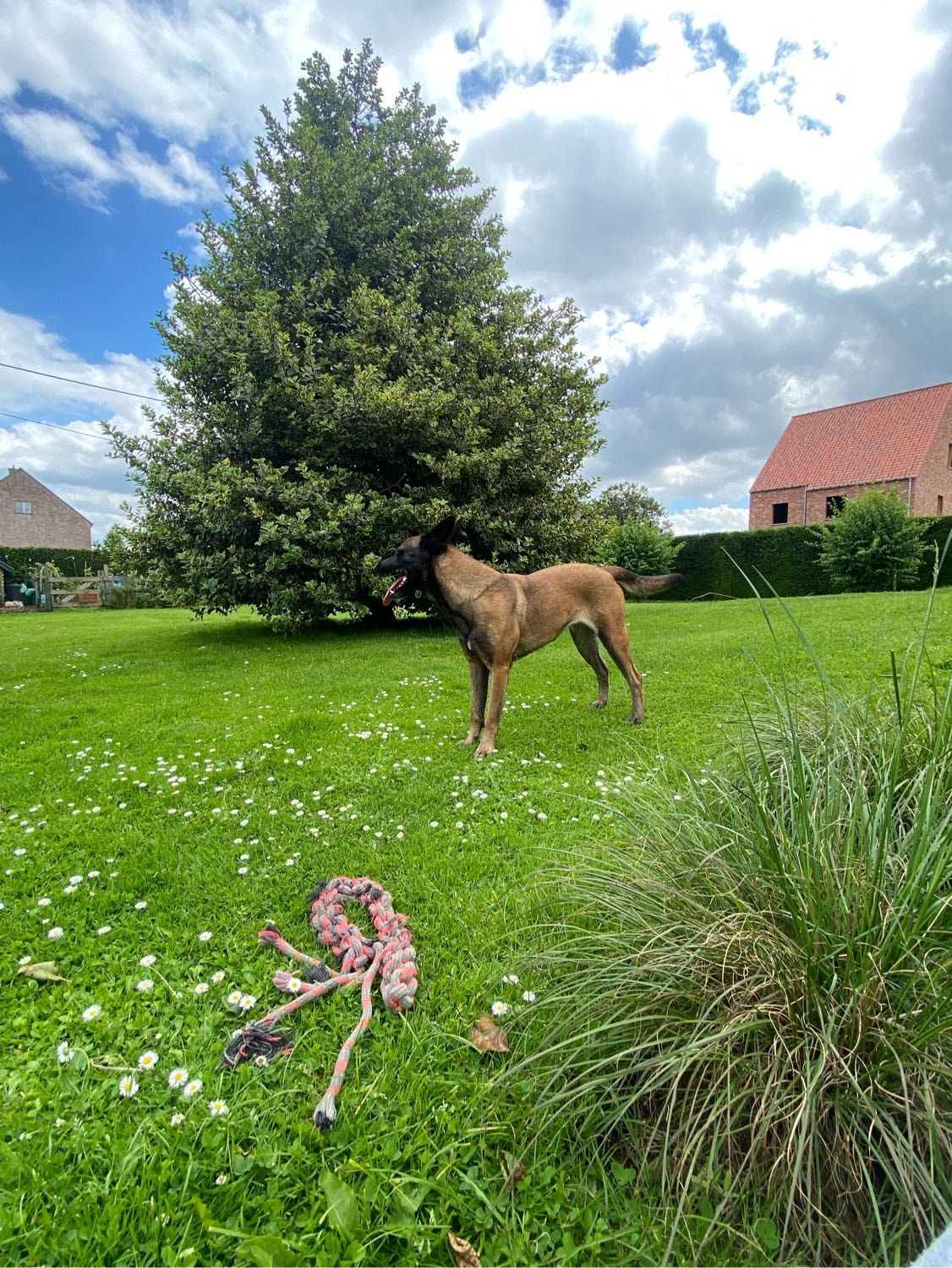 image-12