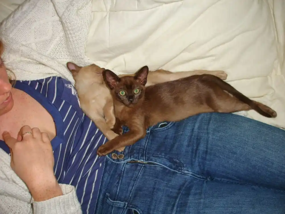 image-6